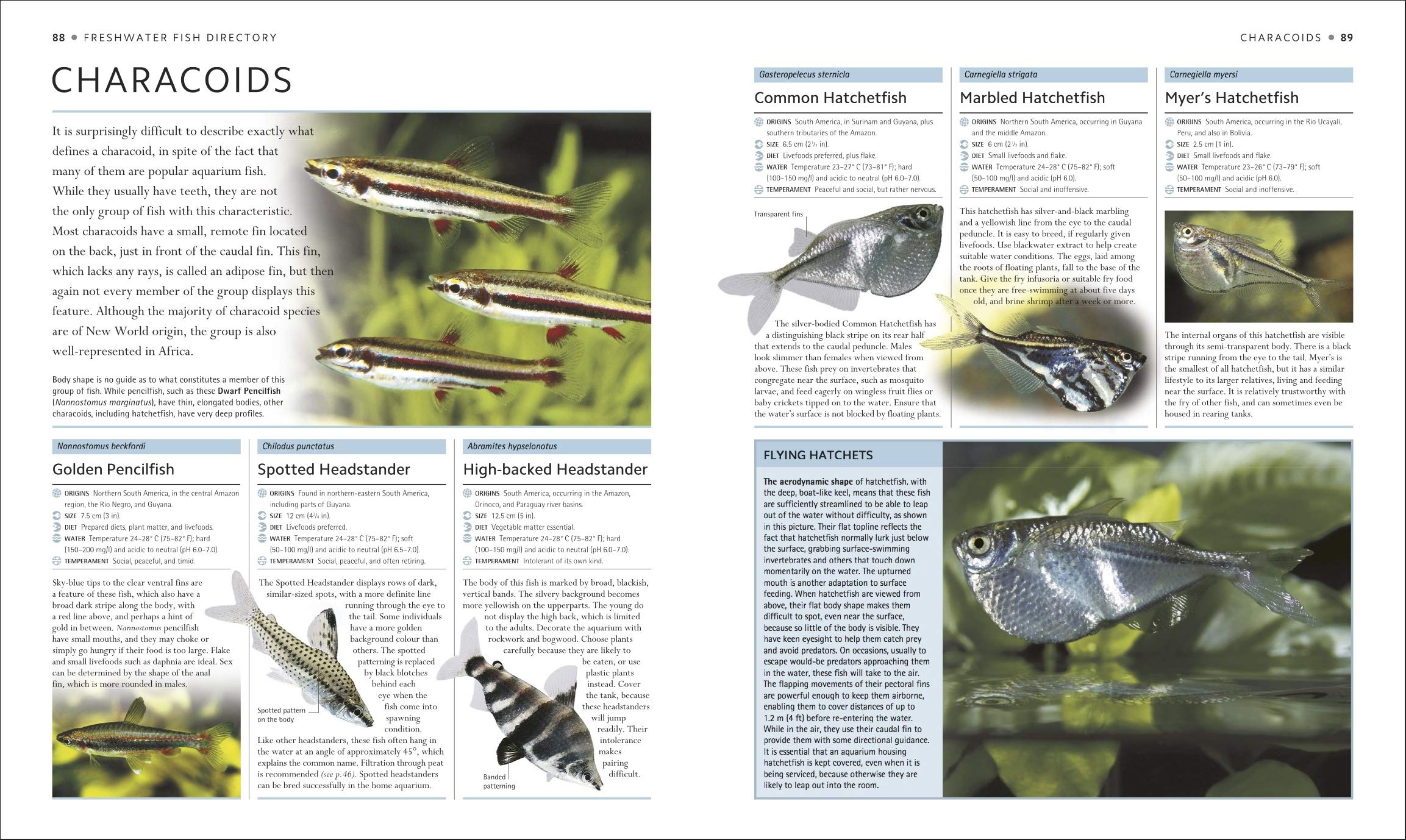Encyclopedia of Aquarium & Pond Fish