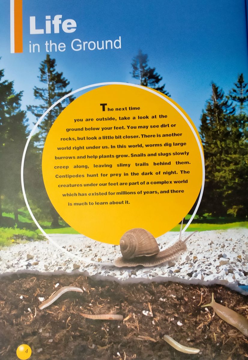 Discover Our Amazing World Worms with Digibook