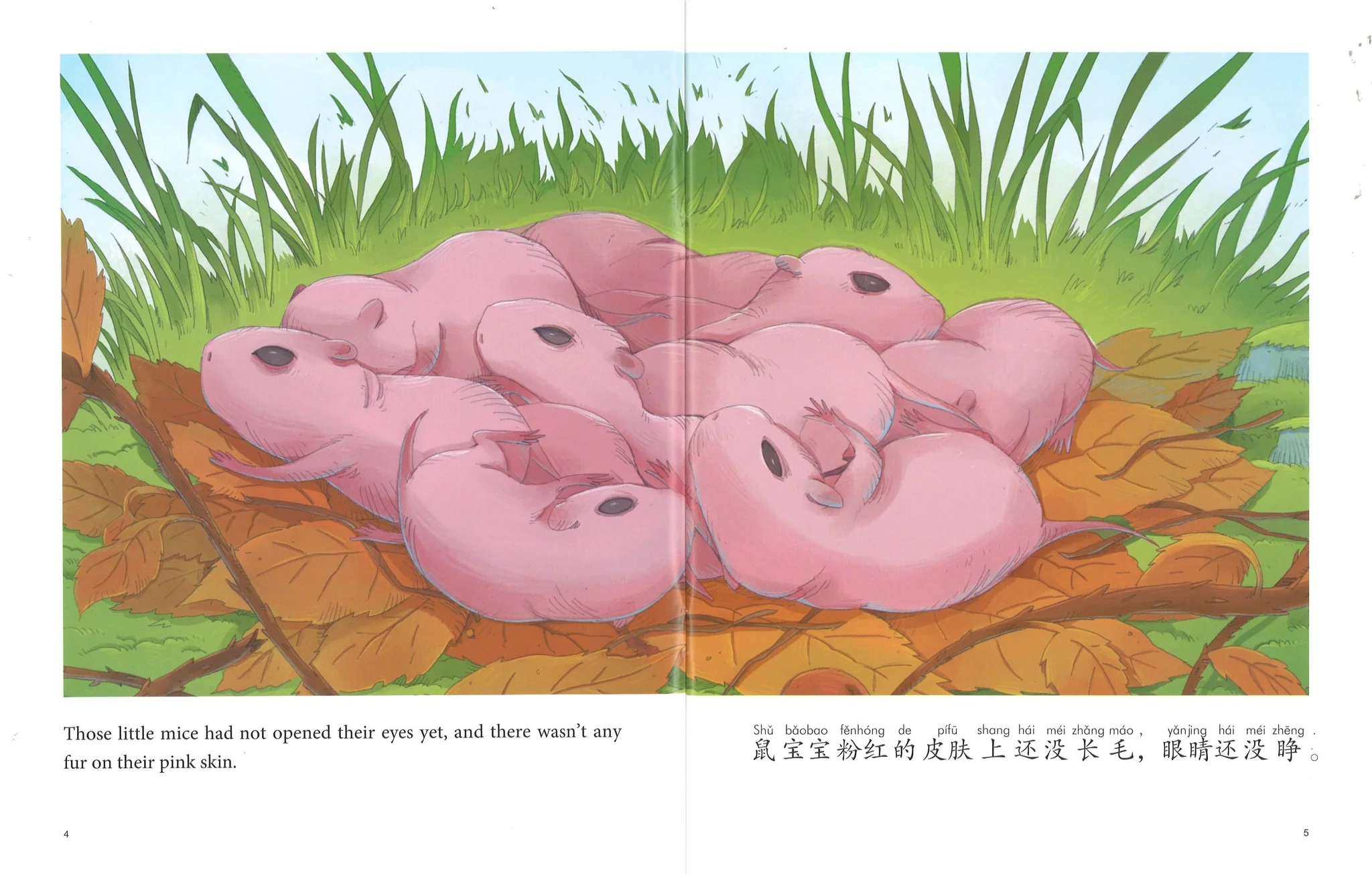 My First Chinese Storybooks The Stories of Xiaomei The Mouse Family