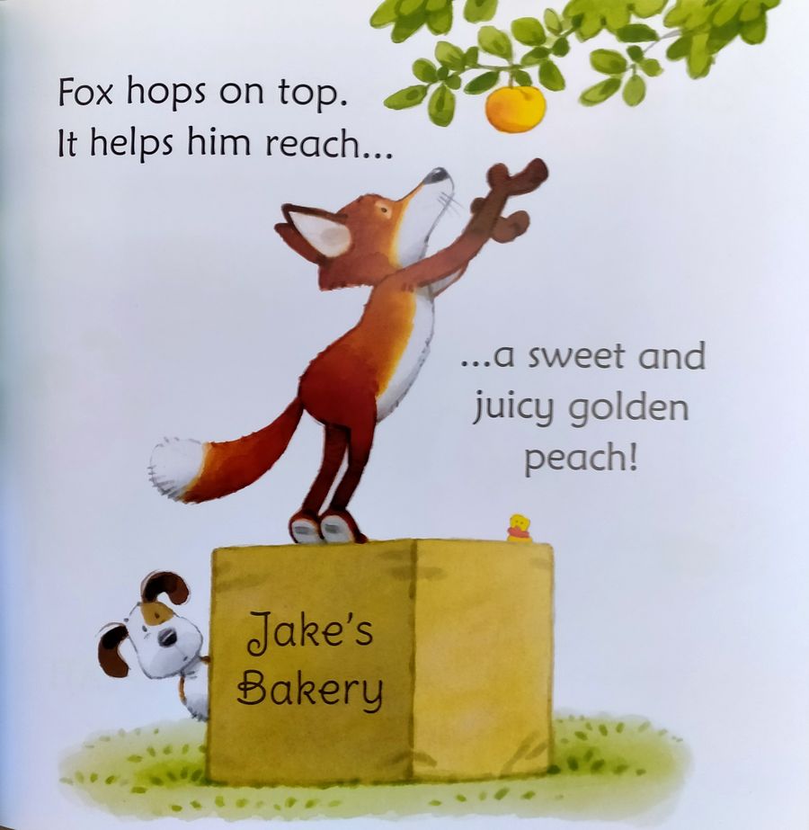 Usborne Phonics Readers Fox on a Box