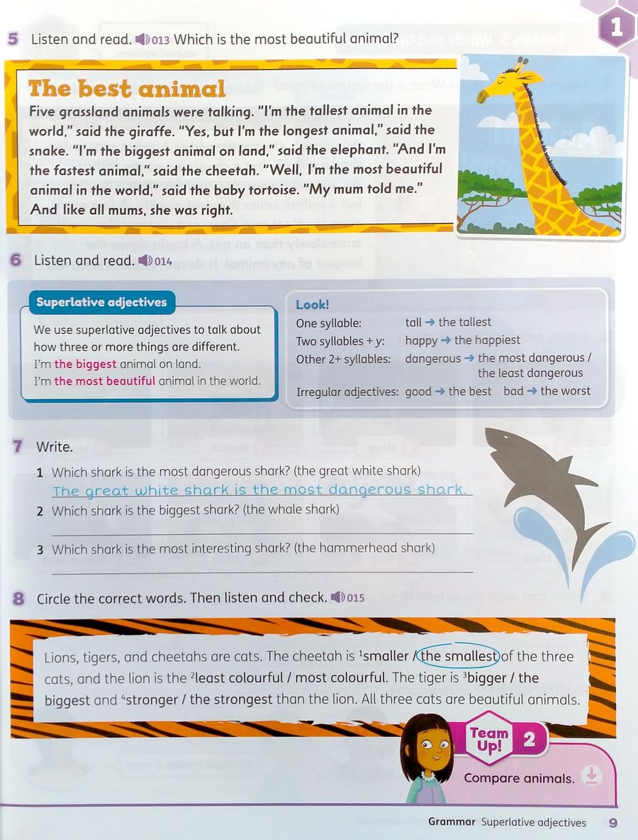 Beehive 4 Student Book with Digital Pack