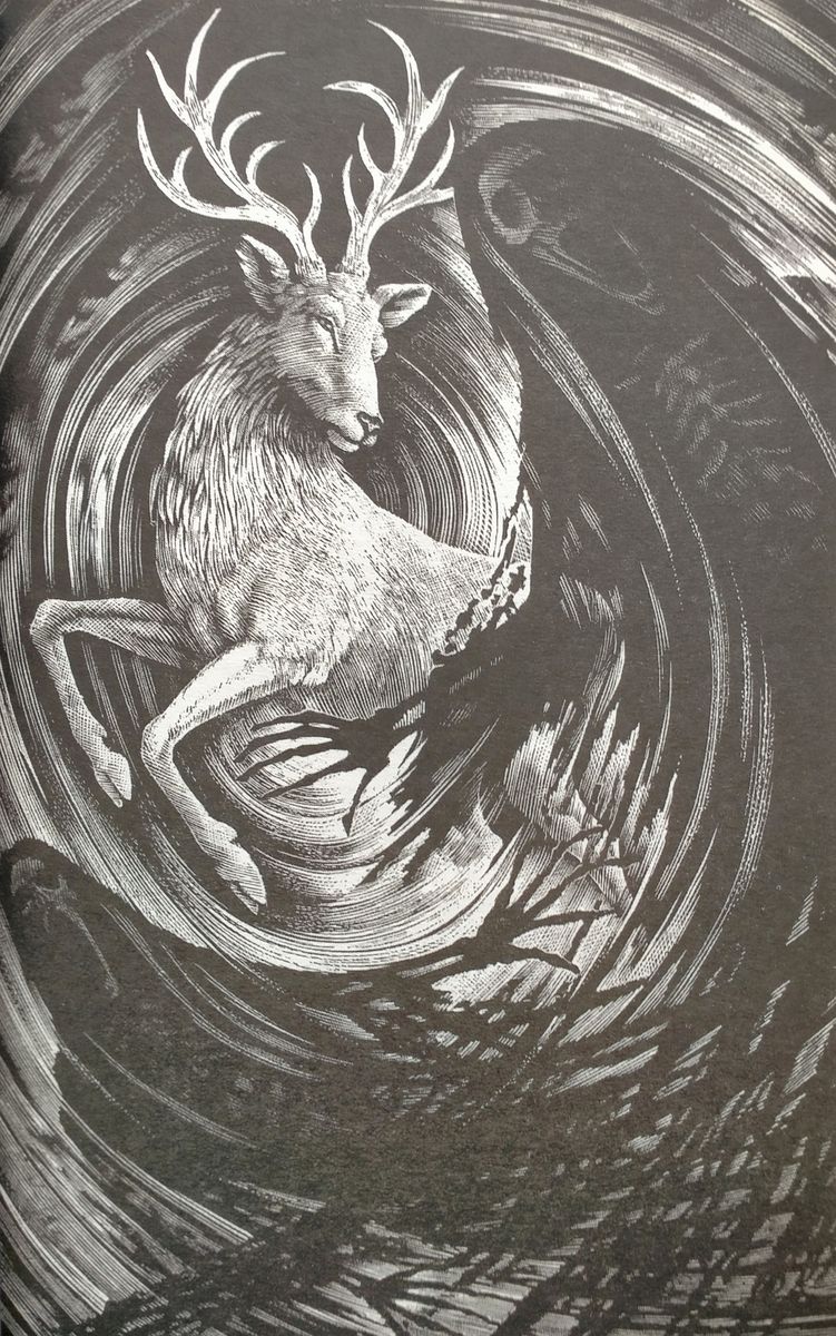 Harry Potter and the Order of the Phoenix Hardback