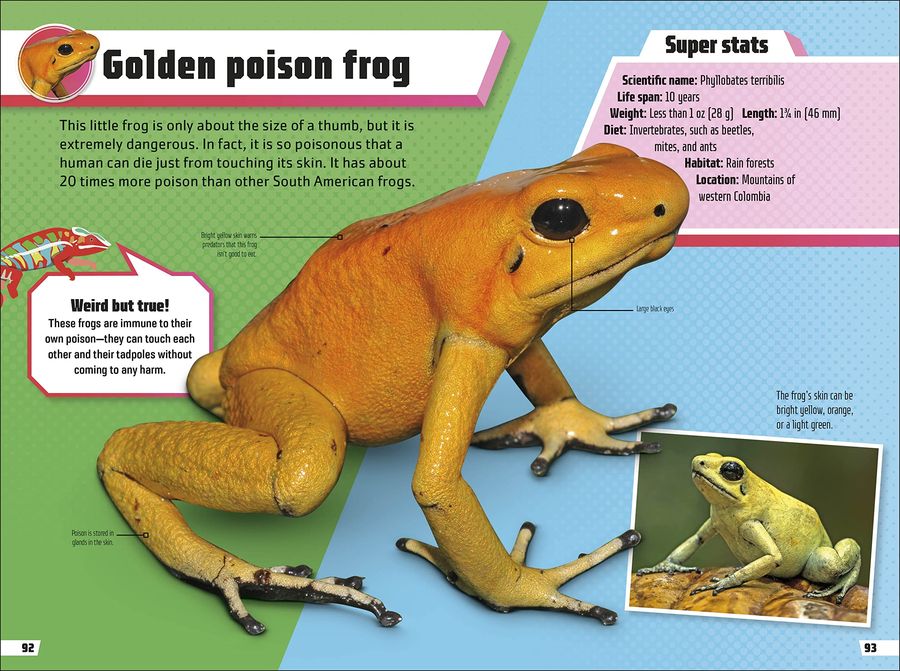 Animal Ultimate Handbook The Need-to-Know Facts and Stats on More Than 200 Animals