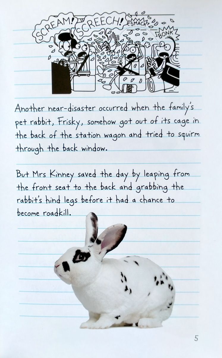The Wimpy Kid Movie Diary The Next Chapter