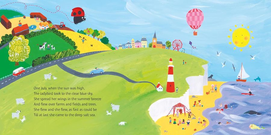 What the Ladybird Heard at the Seaside Paperback
