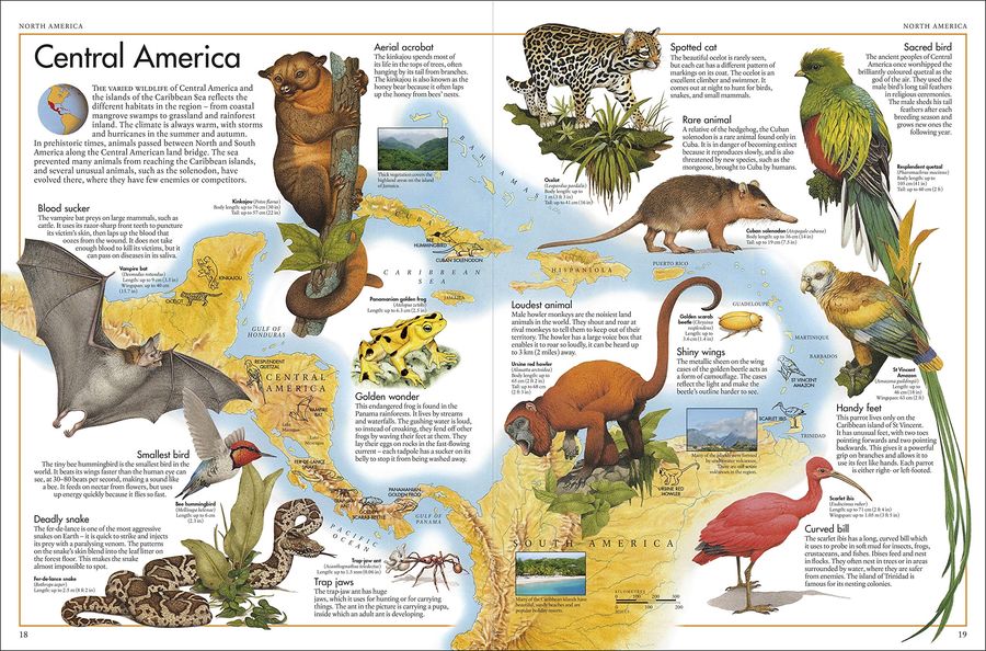 The Animal Atlas A Pictorial Guide to the World's Wildlife