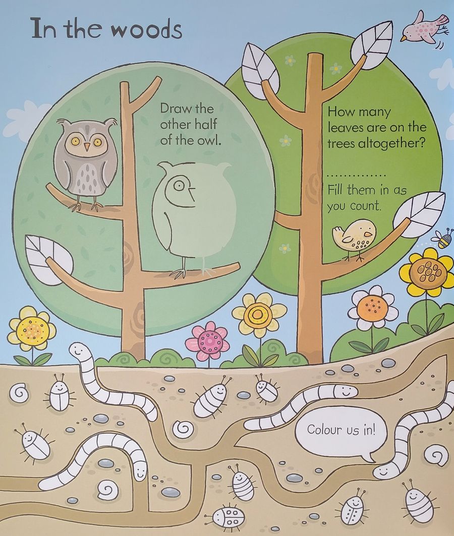 The Usborne Little Children's Activity Book