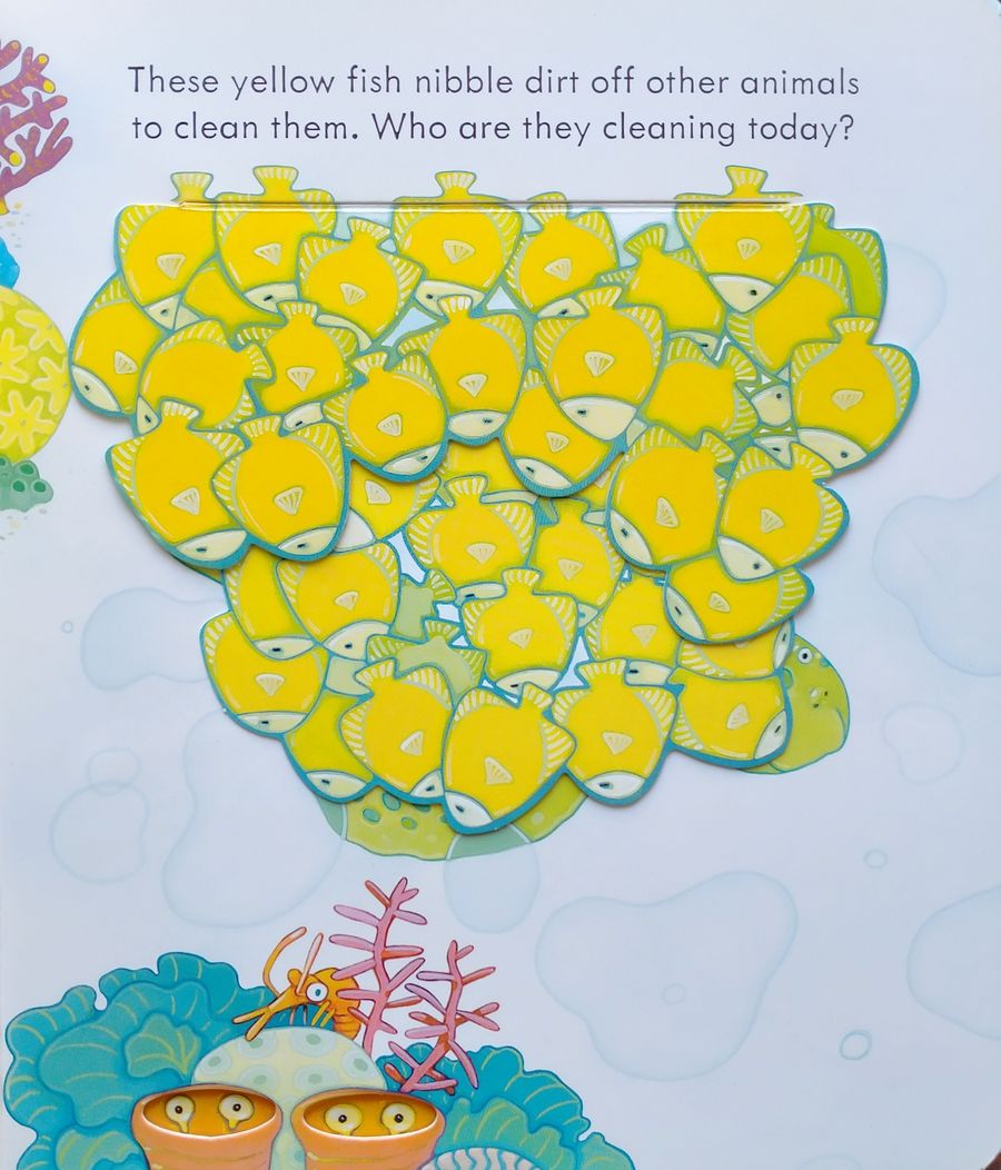Usborne Peep Inside The Sea