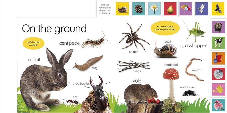 My First Nature Let's Go Exploring