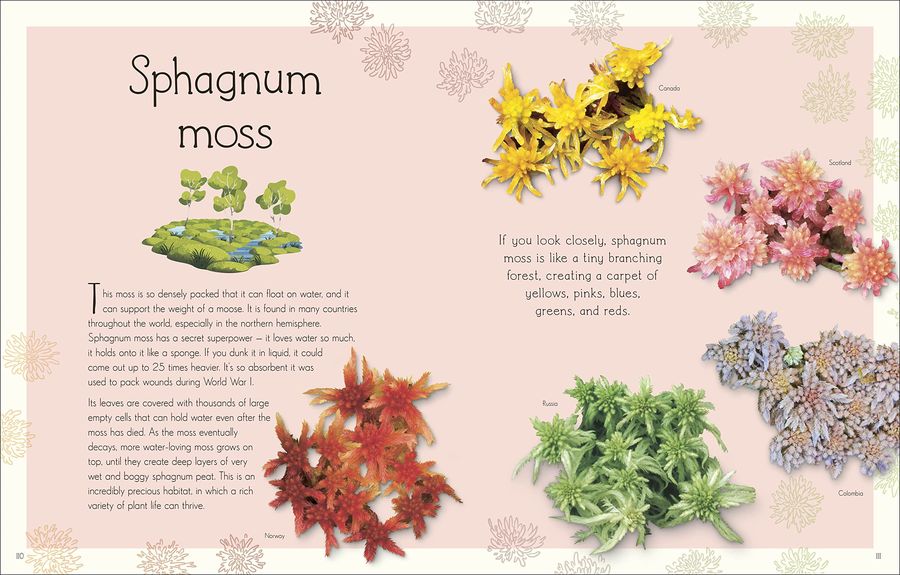 An Anthology of Aquatic Life