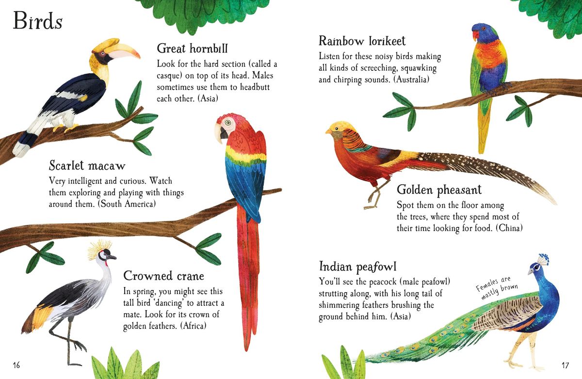 Usborne Minis Zoo Animals to Spot