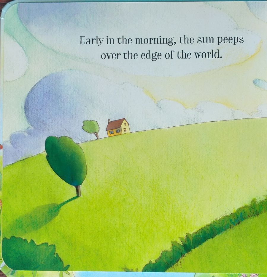Usborne Little Board Books The Sunny Day