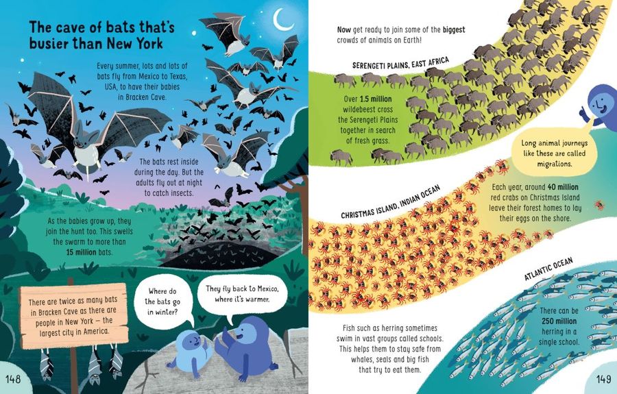 Usborne Big Book of Things to Know