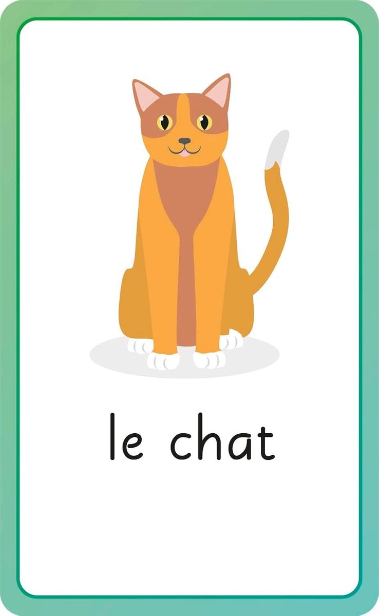 French for Everyone Junior First Words Flash Cards