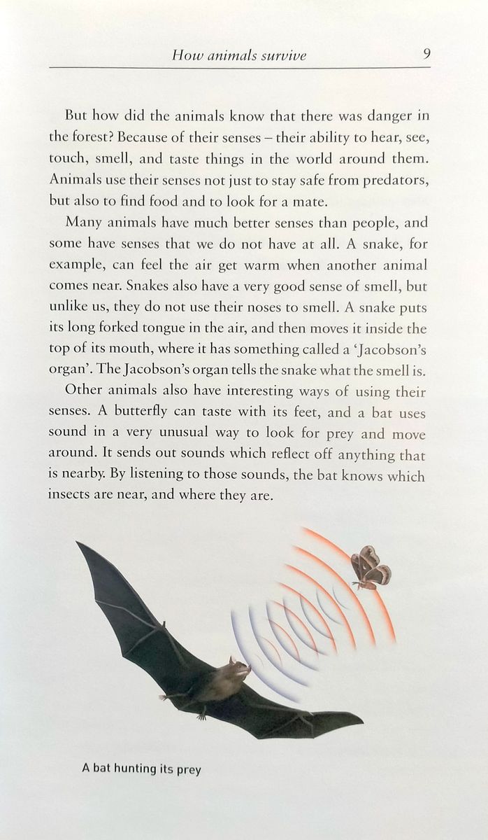 Oxford Bookworms Factfiles 3 Animal Kingdom with Audio Download (access card inside)