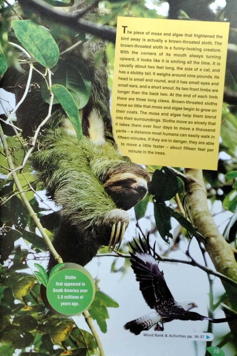 Discover Our Amazing World The Amazon Rainforest II Teacher's Pack (Reader with Digibook and Teacher's CD-ROM)