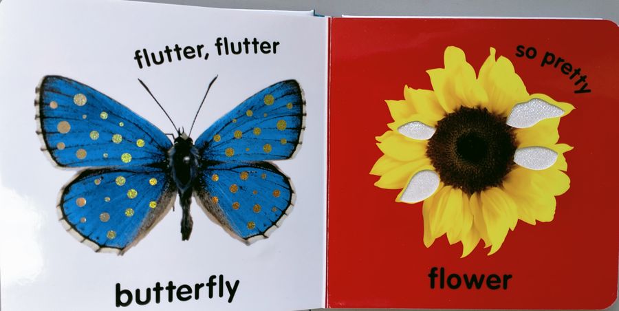 Baby Touch and Feel First Words