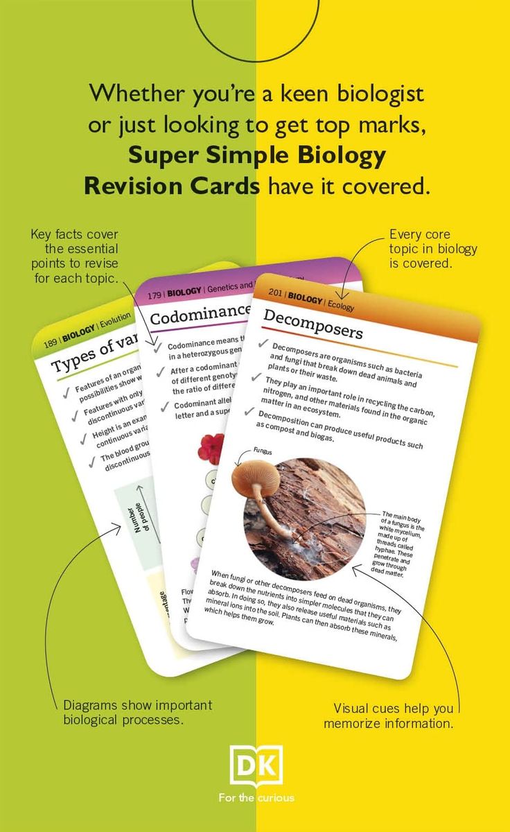 Super Simple Biology Revision Cards Key Stages 3 and 4: 125 Comprehensive, Easy-to-Use Revision Cards for GCSE Exam Preparation