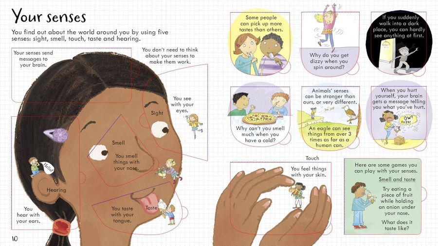 Usborne Look Inside Your Body