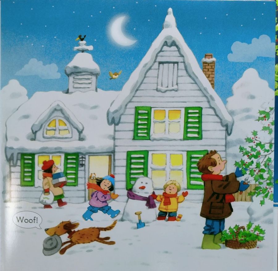 Usborne Farmyard Tales Poppy and Sam's Lift-the-Flap Christmas