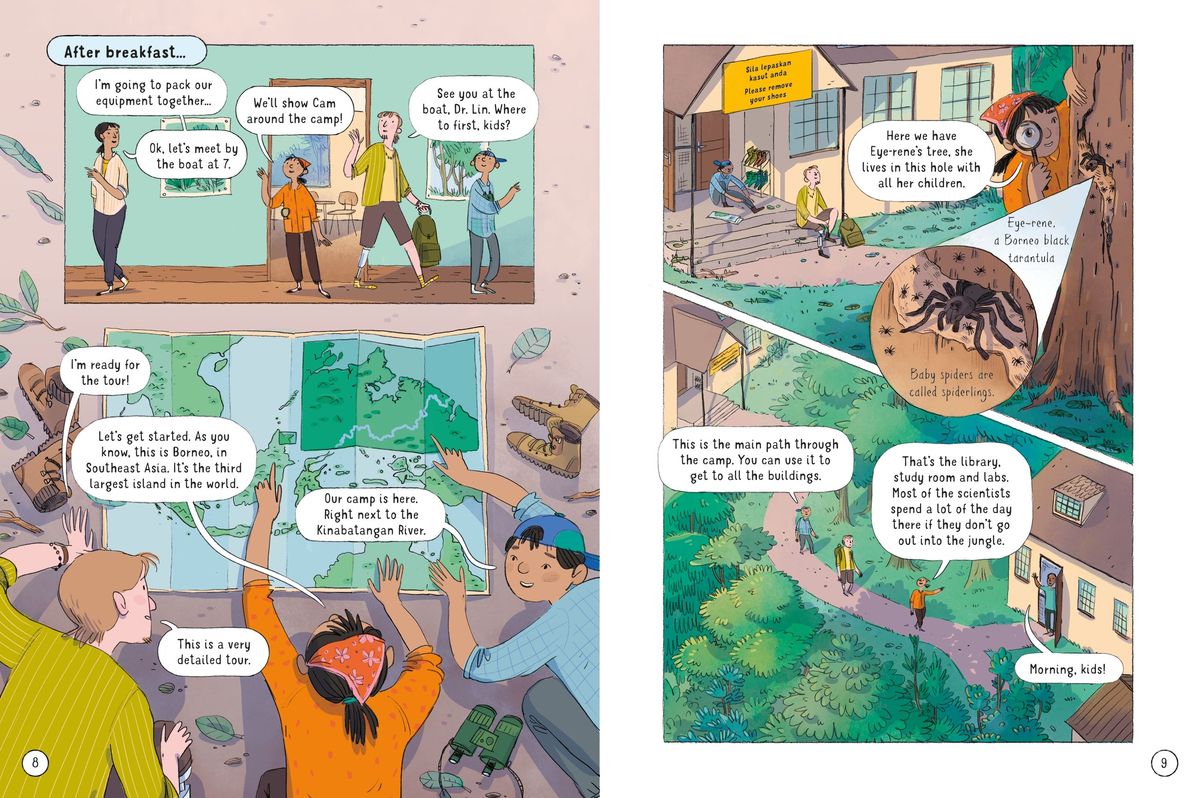 Usborne 24 Hours in the Jungle