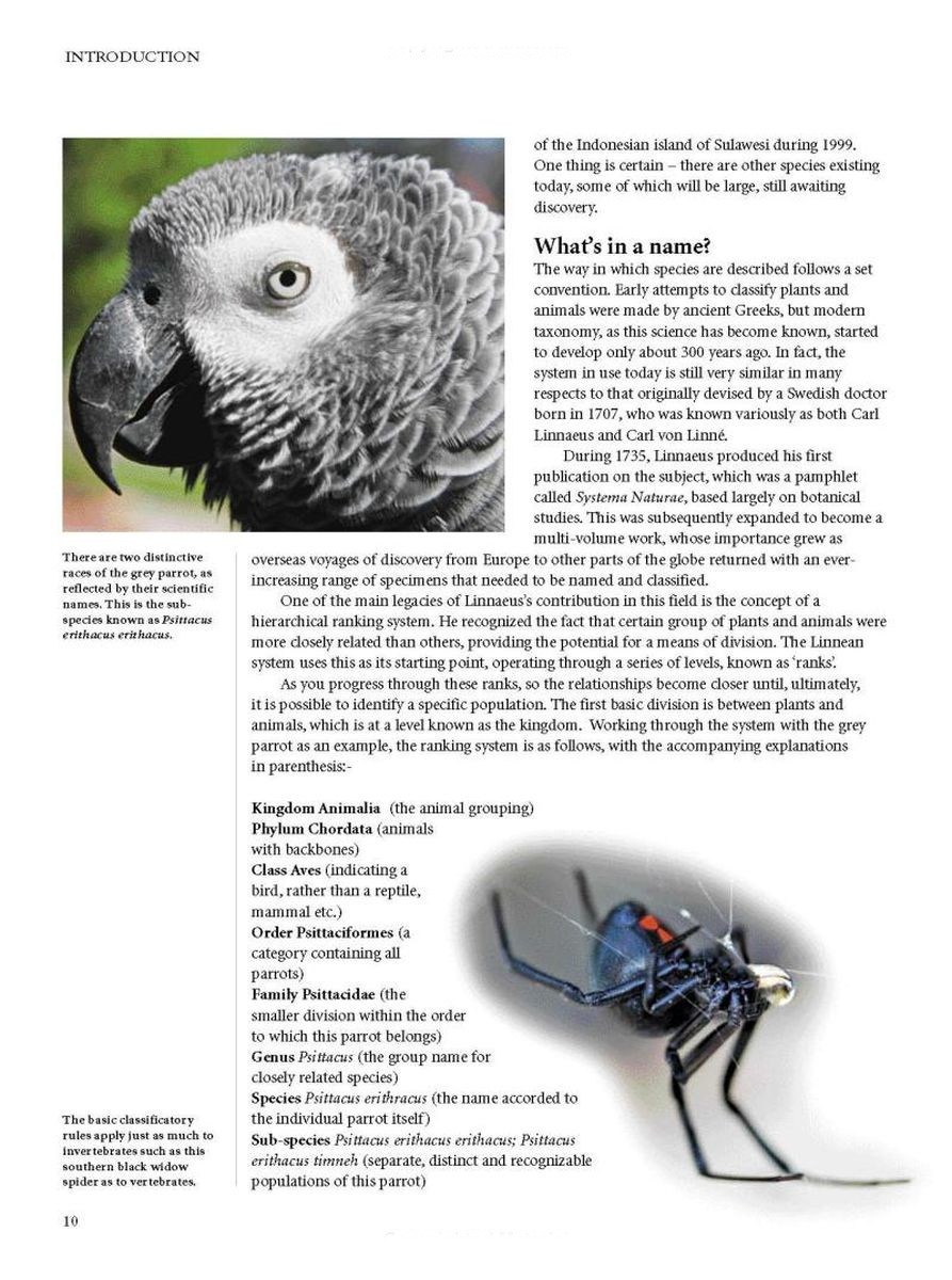 Encyclopedia of Animals