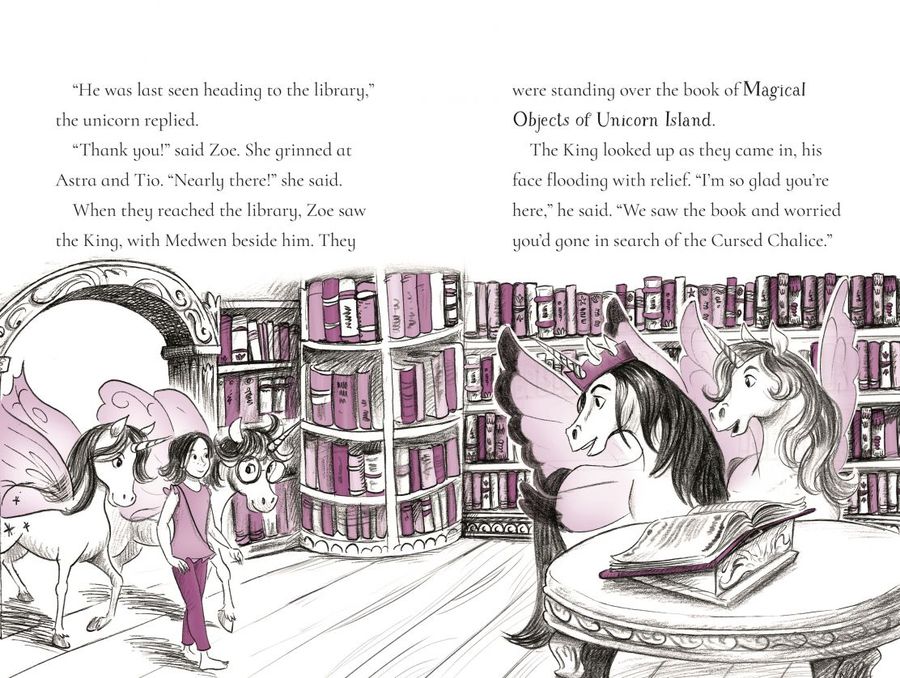 Usborne Fairy Unicorns The Treasure Quest