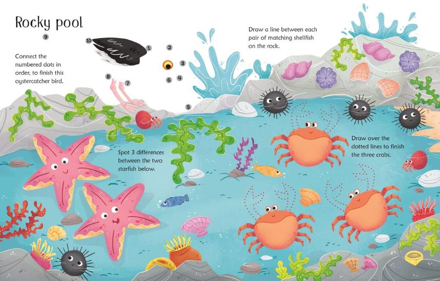 Usborne Wipe-Clean Seashore Activities