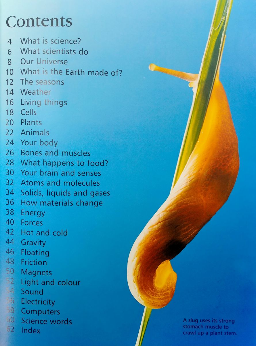 Usborne First Encyclopedia of Science