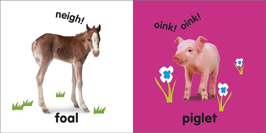 Touch and Feel Baby Animals