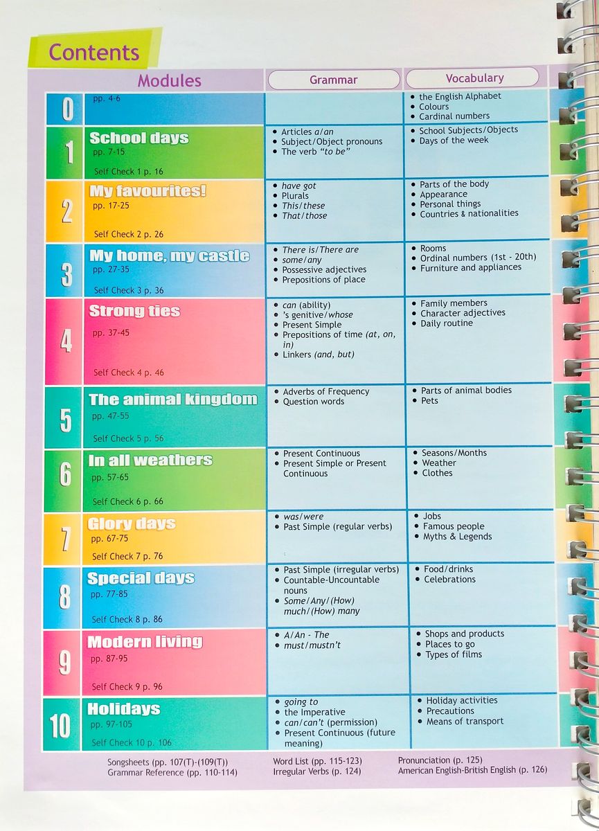 Access 1 Teacher's Book