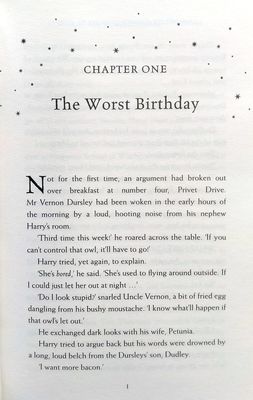 Harry Potter and the Chamber of Secrets Gryffindor Hardback Edition_5.jpg