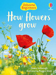 Usborne Beginners How Flowers Grow