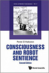 Consciousness And Robot Sentience