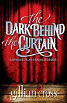 The Dark Behind the Curtain