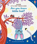 Usborne Little Peep-Through Book Are You There Little Bat?