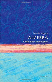 Algebra A Very Short Introduction