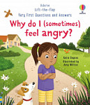 Usborne Lift-the-Flap Very First Questions and Answers Why do I (sometimes) feel angry