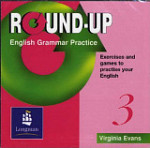 Round-Up Grammar Practice 3 CD-ROM