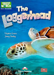 Discover Our Amazing World The Loggerhead with Digibook