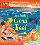 Usborne Lift the Flap Look Inside a Coral Reef