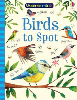 Usborne Minis Birds to Spot