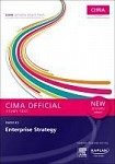 E3 Enterprise Strategy - Study Text