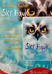 Rollercoasters Sky Hawk Reading Guide