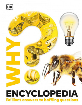 Why? Encyclopedia Brilliant Answers to Baffling Questions